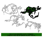 Engine Harness - GM (42897321)