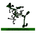 Engine Harness - GM (42901658)