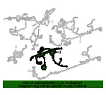 Wire Harness - GM (42915891)