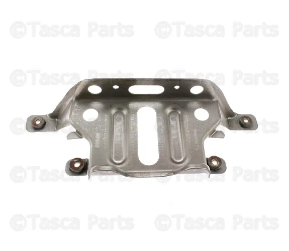 Module Bracket - Mopar (68050503AA)