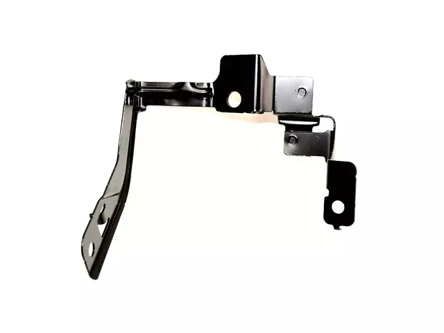 Body Control Module Bracket - Mopar (68213824aa)