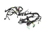 Instrument Panel Wiring - Mopar (68424333ab)