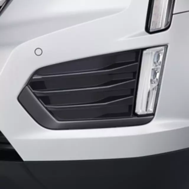 Fog Light Bezel - GM (84005599)