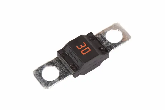 30 AMP Fuse - GM (84070928)