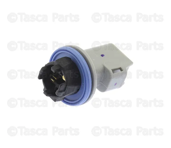 Rear Lamp Socket - GM (84247114)