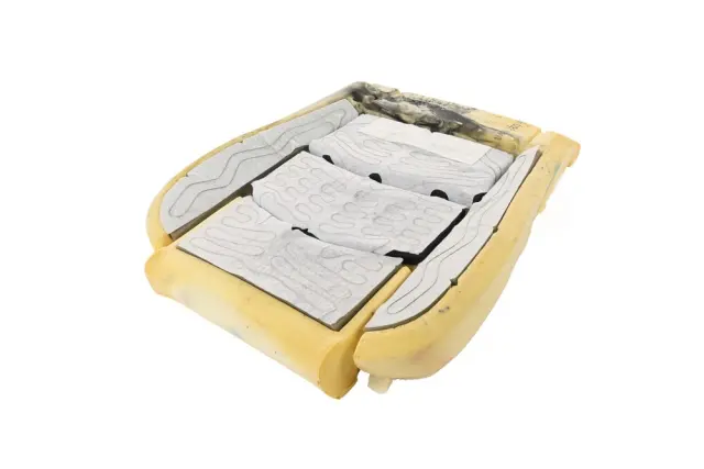 Airbag Front Passenger Presence Module with Sensor - GM (84576008)