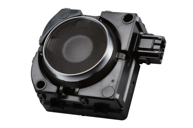 Lumbar Switch - GM (84794239)