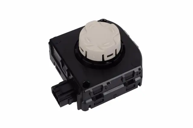 Lumbar Switch - GM (84878418)