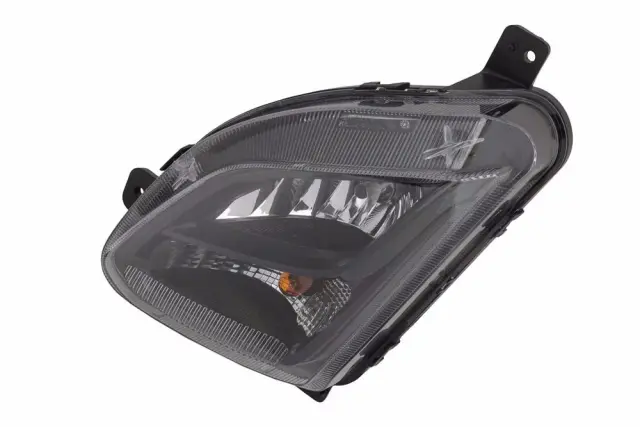 Fog Lamp Assembly - GM (85161293)