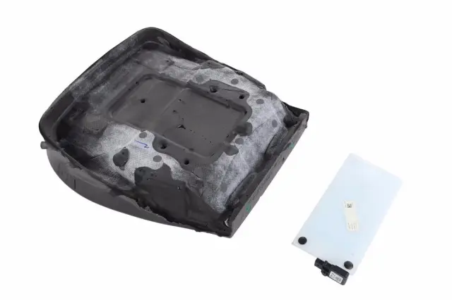 Passenger Discriminating Sensor - GM (85513015)