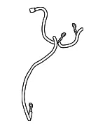 Battery Cable - GM (85538450)