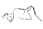 F Harness - GM (85539620)
