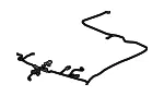 Harness - GM (85619161)