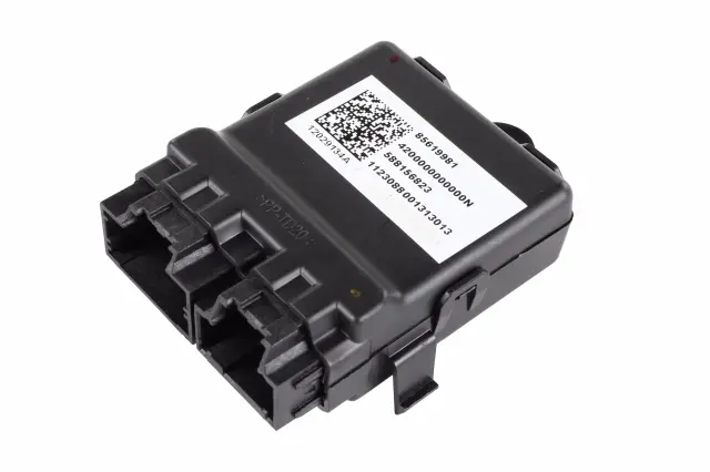 Control Module - GM (85619981)