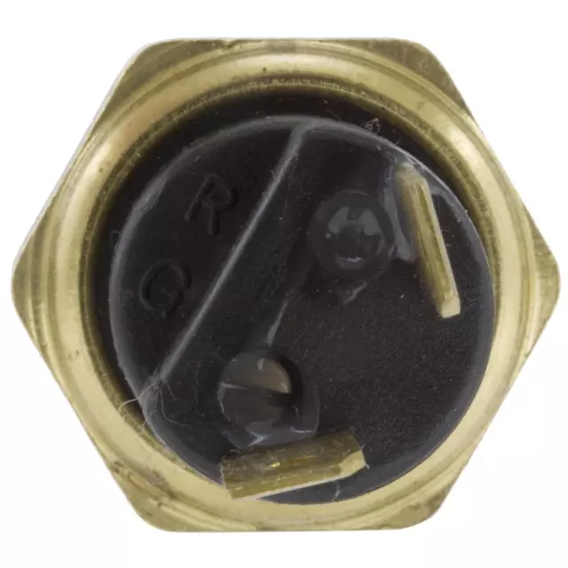 Sensor - GM (88924821)
