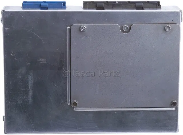 Body Control Module - GM (88999219)
