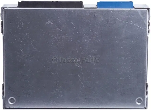 Body Control Module - GM (88999219)