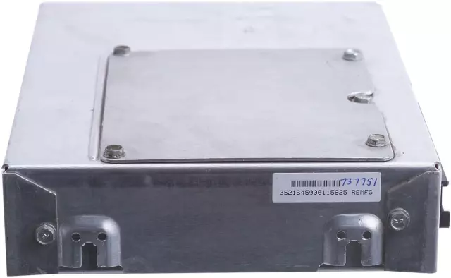 Body Control Module - GM (88999219)