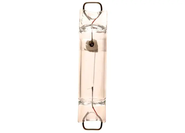 Bulb - GM (9428429)