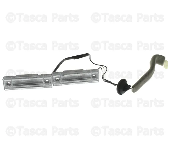 Rear License Plate Lamp - GM (95063640)