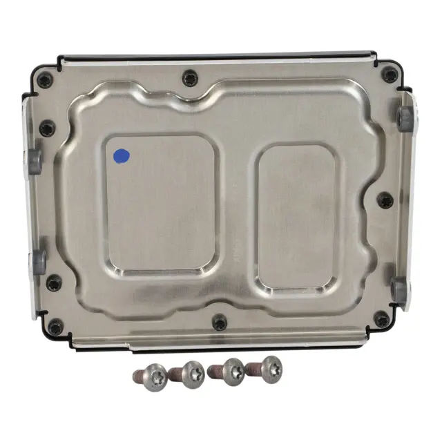 Motorcraft Control Module - Ford (TM-316)