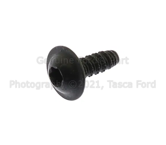 Radio Module Interface Screw - Ford (W715260-S424)