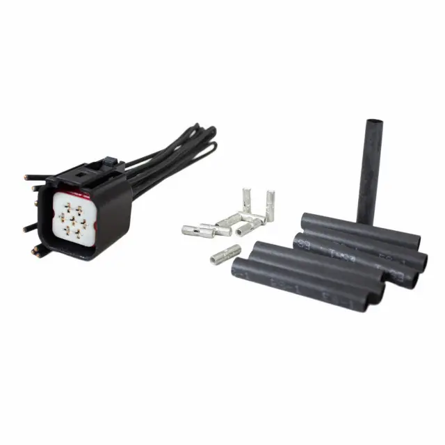 Wire Assembly - Ford (WPT-1007)