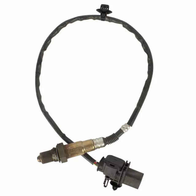 Oxygen Sensor - Ford (ck4z9f472a)