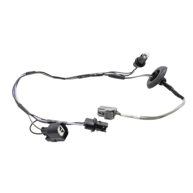 Socket And Wire Assembly Lamp - Ford (ds7z13412a)