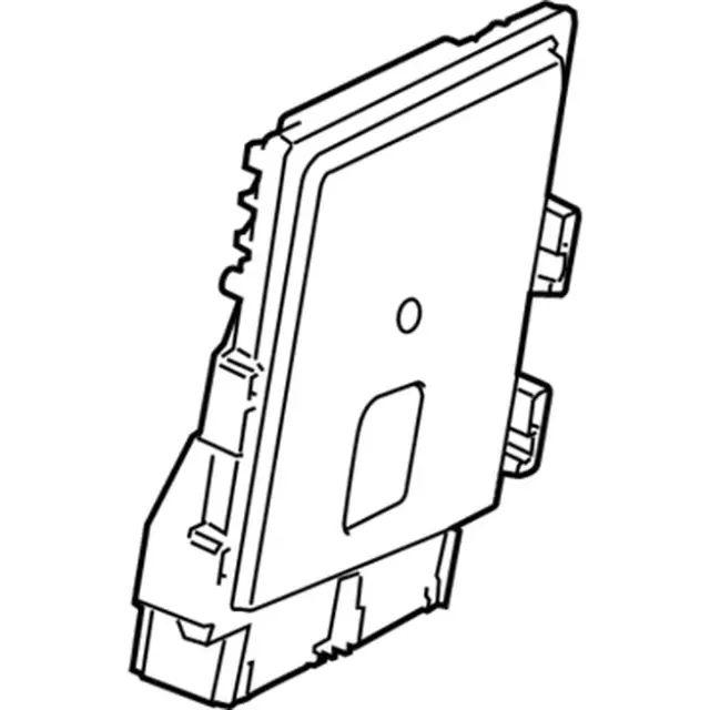 Engine Control Module (ECM) - Ford (dv6z12a650cf)