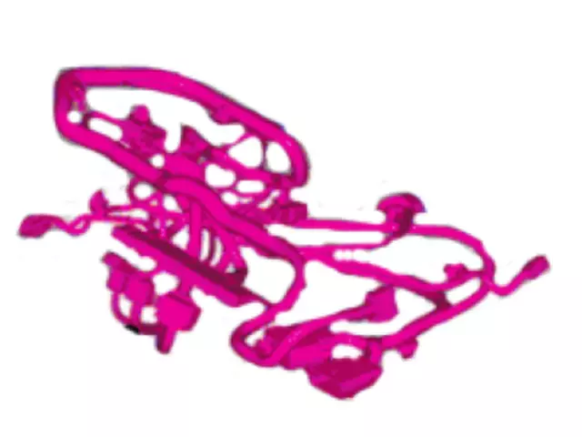 Wire Assembly - Ford (eu5z14a699e)