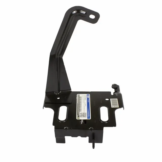 Engine Control Module (ECM) Bracket - Ford (gc2z12a659d)