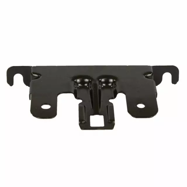 Fuel Pump Driver Module Bracket - Ford (gn1z9d371a)