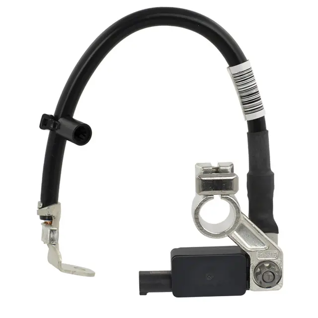 Battery Current Sensor - Ford (h1bz10c679d)