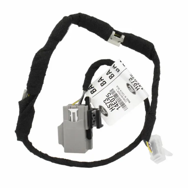 Wire Assembly - Ford (hs7z13c724b)