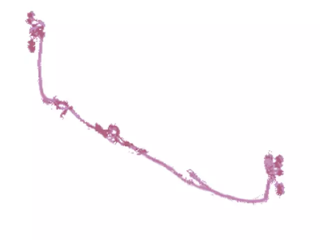 Wire Assembly - Ford (kc3z13a409ca)