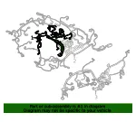 Engine Wiring Harness - Ford (nu5z12a581f)