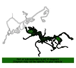 Engine Harness - Ford (pc3z12b637ca)