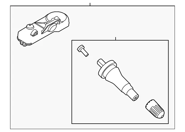 Motorcraft TPMS Sensor - Ford (tpms30)