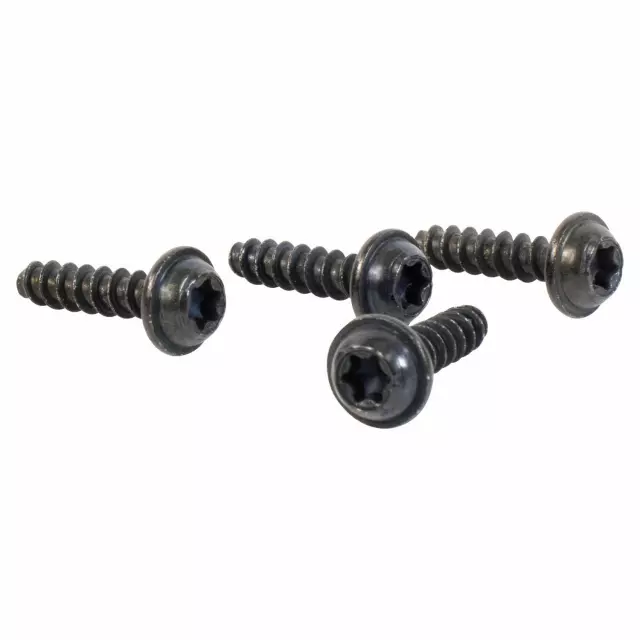 Control Module Screw - Ford (w506945s900)